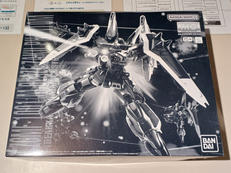 機動戦士ガンダムSEED DESTINY|BANDAI