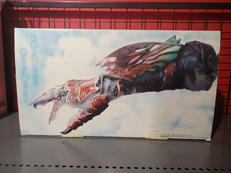 仮面ライダーオーズ|BANDAI