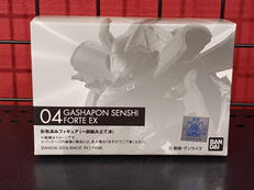 機動戦士ガンダム逆襲のシャア ベルトーチカチルドレン|BANDAI