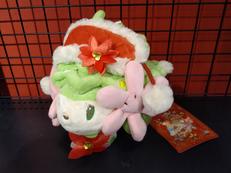 ポケモン|ポケモン