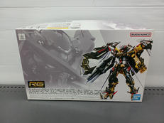 RG|BANDAI