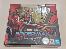 アイアン・スパイダー