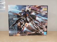 機動戦士ガンダムSEED