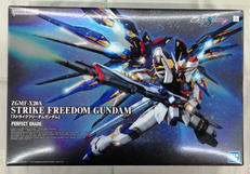 1/60 PG 機動戦士ガンダム SEED DISNEY|BANDAI