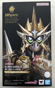 S.H.FIGUARTS (真骨彫製法)|BANDAI