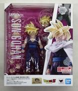 S.H.FIGUARTS|BANDAI