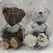 エヴァンゲリオン|サニーサイドアップ