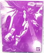 MG デスティニーインパルスガンダムR