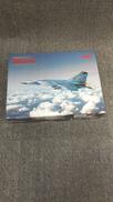 MIG-25|ICM