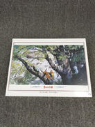 もののけ姫/コダマの森|エンスカイ