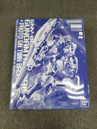 MG ガンダムアストレア＋プロトGNツインブロードブレイド|BANDAI