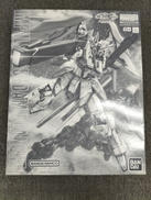 機動戦士ガンダムSEED ASTRAY 天空の皇女