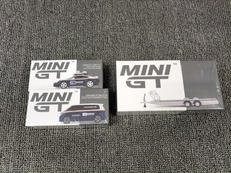 MINIGT|TSMMODEL