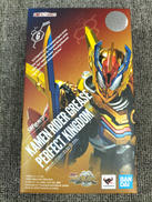 S.H.FIGUARTS 仮面ライダーグリス|BANDAI