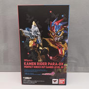 仮面ライダーパラドクス