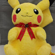 ポケットモンスター|ポケモンセンター