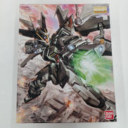 MG　1/100|BANDAI