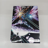 機動戦士ガンダムSEED DESTINY|BANDAI
