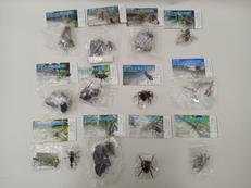 原色図鑑シリーズ|YUJIN