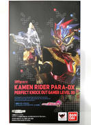 S.H.Figuarts 仮面ライダーパラドクス|BANDAI