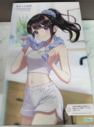創彩少女庭園シリーズ|KOTOBUKIYA