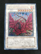 ブラック・ローズ・ドラゴン|KONAMI