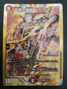 血貴き侵略 ブラッドゾーン|WIZARDS