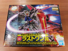 1/100 MG エールストライクガンダム VER.RM ソ|BANDAI