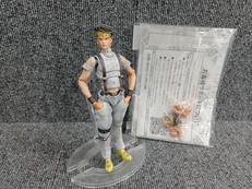 ジョジョの奇妙な冒険|メディコス