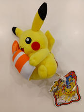 ポケットモンスター|ポケモン