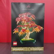 LEGO BOTANICALS|LEGO