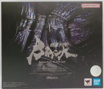 仮面ライダーBLACK SUN|BANDAI