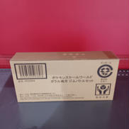 スケールワールド　ガラル地方　ジムバトルセット①|BANDAI