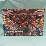 HG1/144