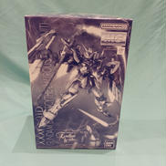 MG1/100