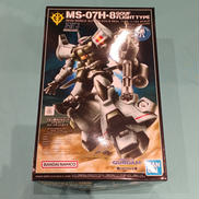 HG1/144