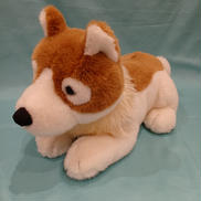 フランダースの犬|ロッテ