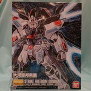 SEED DESTINY 1/100|BANDAI
