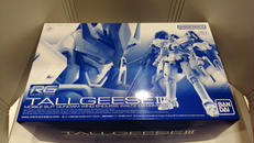 RG　1/144