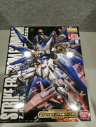 機動戦士ガンダムSEED　DESTINY|バンダイ