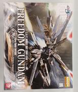 1/100 MG ZGMF-X10A フリーダムガンダム