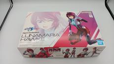 機動戦士ガンダムSEED　DESTINY|BANDAI SPIRITS