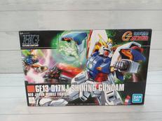 HG 1/144