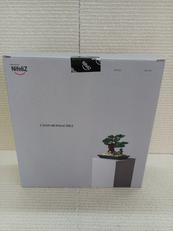 CHAN BONSAI TREE|NIFELIZ