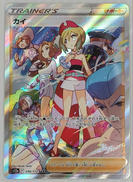 ポケモンカード|ポケモン