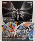 機動戦士ガンダムSEED DESTINY