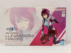 FIGURE-RISE STANDARD