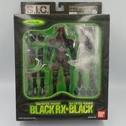 仮面ライダーBLACK RX＆仮面ライダーBLACK