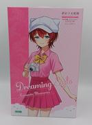 創彩少女庭園 ドリーミングスタイル　ロマンティックメモリーズ|KOTOBUKIYA