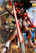 機動戦士ガンダムSEED DESTINY|BANDAI